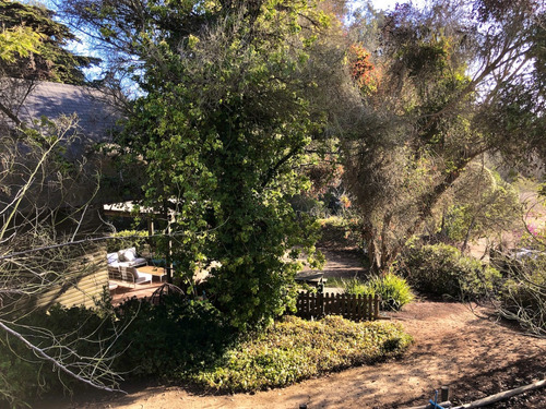 Interesante Propiedad En Venta De 4 Hectáreas En Cachagua
