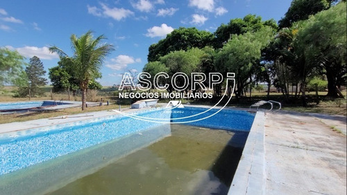 Imagem 19 de 19 de Sítio/pousada Em Anhembi - Piracicaba Sp(código St00003) - St00003 - 71022310