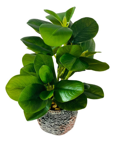 Arranjo De Flor Artificial Peperômia Sortido 28cm - Vencedor