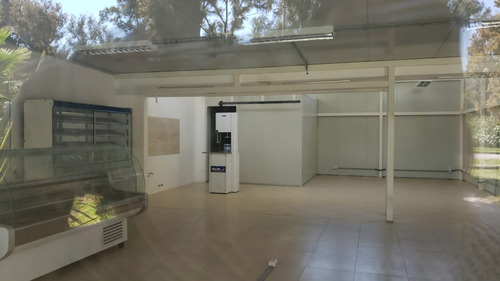 Imagen 3 de 4 de Local Comercial Y Deposito En Venta - Colonia Del Sacramento