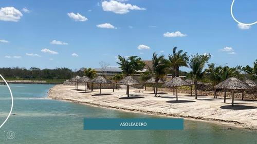 Ultimos Lotes En Desarrollo Con Lago Al Sureste De Merida