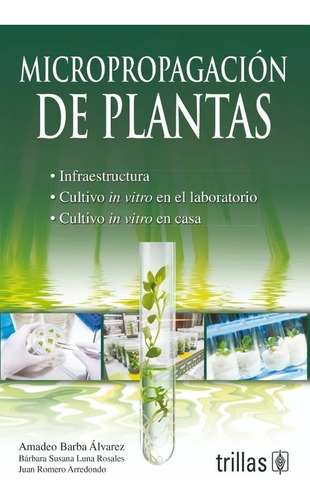 Micropropagación De Plantas Trillas