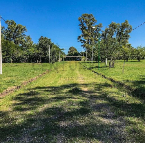 Imagen 10 de 10 de 407 Entre 19 Y 21 . Lotes En Venta Barrio Privado Las Alondras , Villa Elisa.-