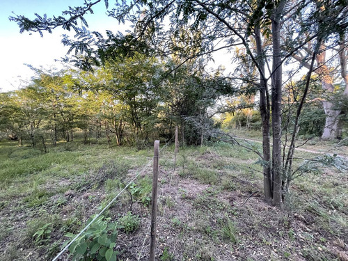 Terreno - Villa Anisacate