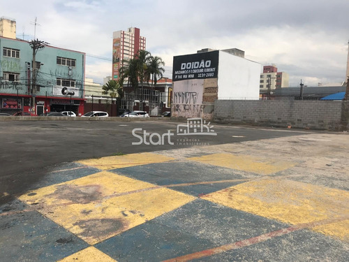 Imagem 4 de 4 de Terreno Para Aluguel Em Centro - Te003259