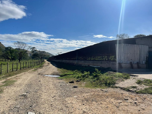 Imagen 6 de 12 de Finca Para La Cria De Cerdos En La Victoria En Venta