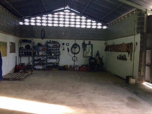 Imagen 12 de 26 de Adriana Castellanos Vende De Imponente Finca En Aguirre, Montalban 5 Ha 8.473 M2 Dedicada A Diversas Actividades, Cod 148398