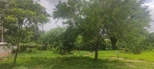 Imagen 11 de 14 de Terreno En Venta En Naguanagua
