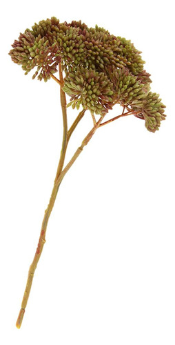 Planta Real Táctil