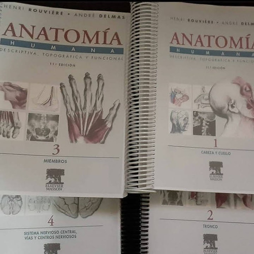 Anatomía Humana. Rouviere