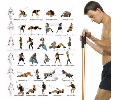 Kit Elástico Extensor 11 Itens Musculação Funcional Em Casa