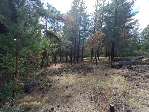 Imagen 9 de 12 de Terreno - Epuyen