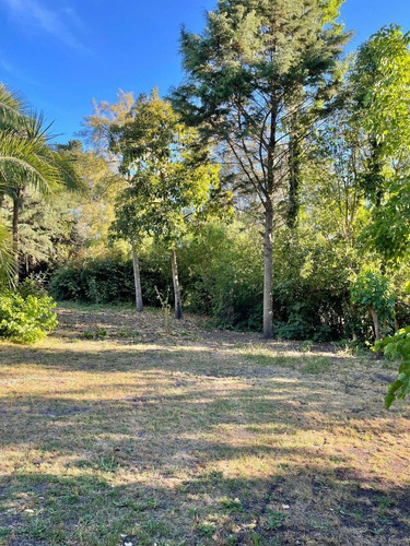 Imagen 6 de 30 de Casa Quinta Sobre Lote De 5.000 M2 La Gloria De La Peregrina