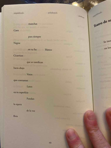 Imagen 3 de 4 de Libro Poesía Palabras Que Nos Nombran Axel Levin