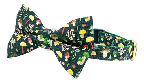 Collar De Gato Con Cascabeles Desmontable Para Gatos Collare