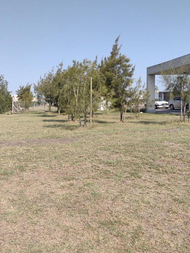 Imagen 18 de 30 de Au. Buenos Aires - La Plata Km 32.5