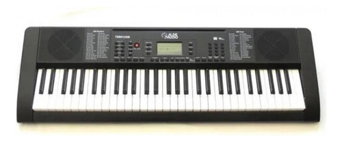 Teclado Alde Audio Tsr 61usb Electronico 61 Teclas 128 Voces Color Negro