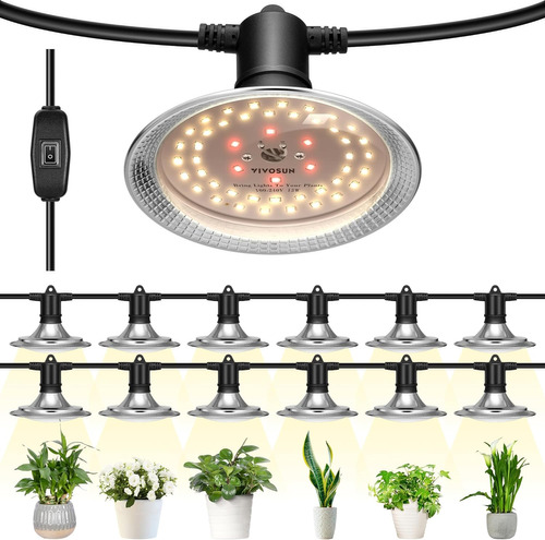 Luces Led De Cultivo Para Exteriores Cadena Impermeable