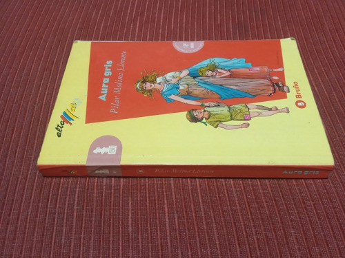 Libro Aura Gris, De Pilar Molina Llorente, Editorial Bruño (Usado)