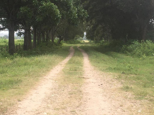 Imagen 11 de 24 de Finca En Barinas A Orilla De La Carretera