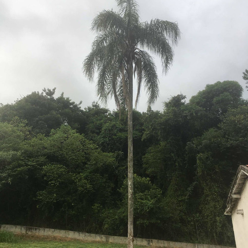 Chácara Entre Mairinque E Ibiuna