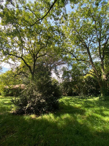 Imagen 6 de 17 de 27 Entre 420 Y 422 - Lote En Venta - Villa Elisa, La Plata