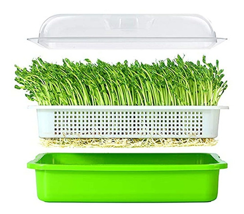 Lejoy Garden Seed Sprouter Bandeja Sin Bpa, Pp Sin Suelo, Gr