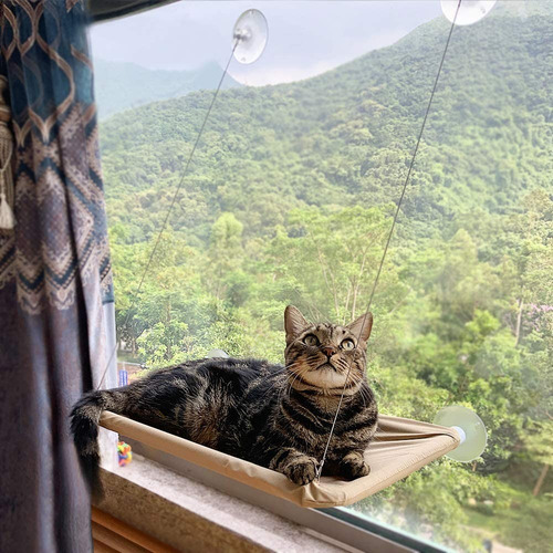 Imagen 5 de 9 de Cama Gatos Cuna Hamaca Ventana Descanso Colgante Ventosas