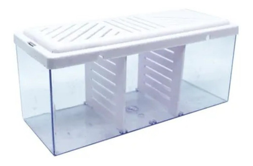 Betta Box Beteira Tripla Com Ventosa - Rs Aqua 