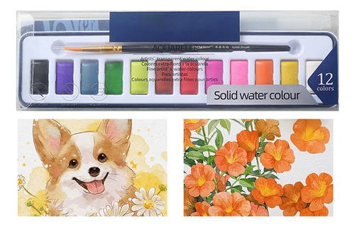 Conjunto De Acuarela Set De Pintura De Acuarela Conjunto De
