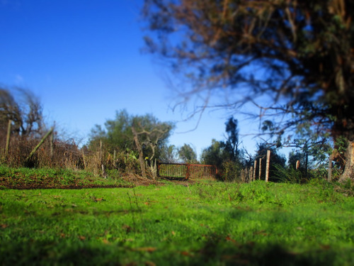 Propiedad Agrícola De Riego Con Derechos De Aguas Río Ñuble