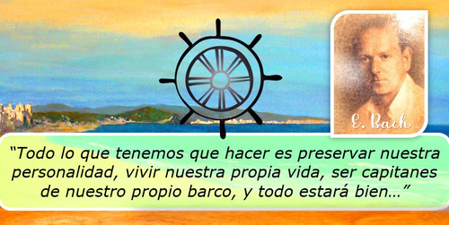 Imagen 5 de 7 de Flores De Bach (enviamos) Incluye Terapia