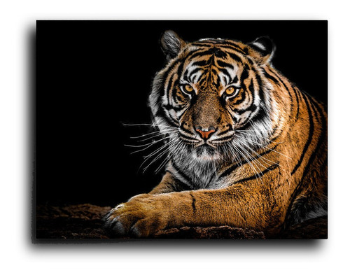 Cuadro Decorativo Canvas 60x80cm Tigre Vengala