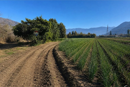 Terreno Agrícola 55.000 M² En Lampa Con Casa