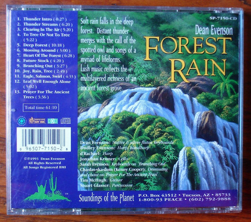 Dan Evenson - Forest Rain