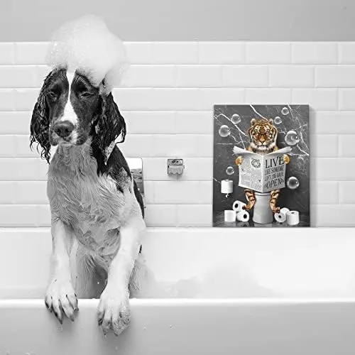 Kasluolo Tiger Decoración De Baño Arte De Pared Divertido Ti