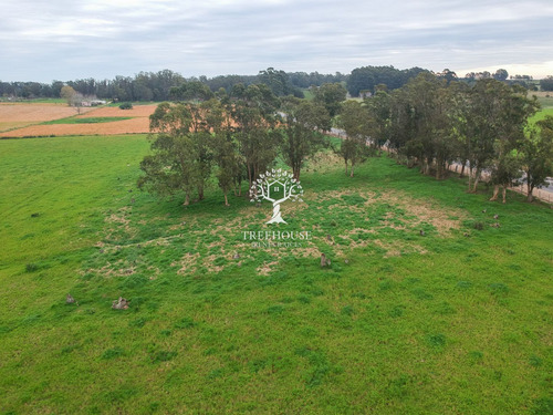 Venta Chacra 5,9 Hectáreas Camino Medellín Y Ruta 104 (ref: Tbr-3183)