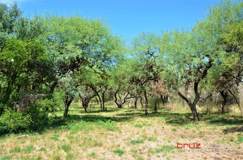 Imagen 8 de 13 de Lote De 858m2 En Carpintería - Zona Céntrica