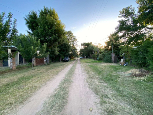 Imagen 5 de 21 de Terreno Forestado Y Cercado En Venta Altura Km10r1