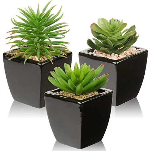 Pequeñas Suculentas Artificiales, Juego De 3 Plantas S...