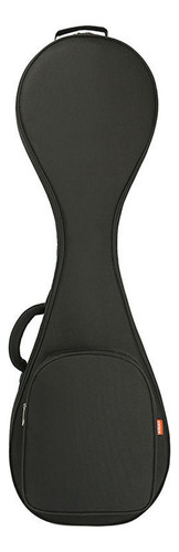 Bolsa De Instrumentos De Laúd Chino, Bolsa De Pipa