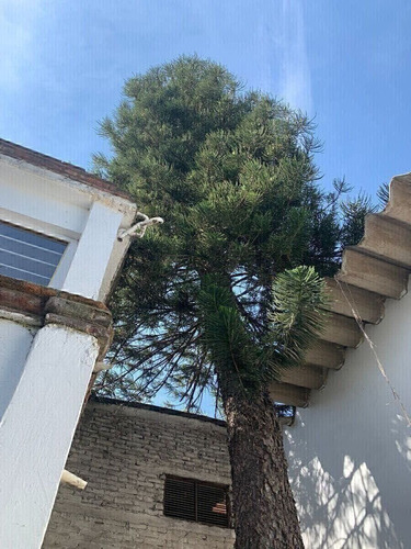 Casa En Renta En Paseos Del Sur, Xochimilco