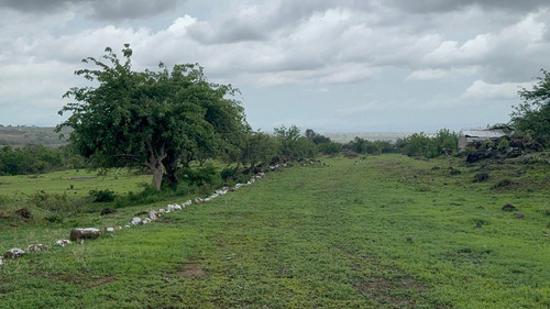 Terrenos Rusticos. A 20 Minutos De Oaxtepec.