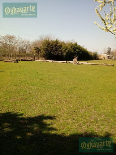 Venta De Terreno 1.5 Hectárea A 1 Cuadra De Ruta 24, Moreno.