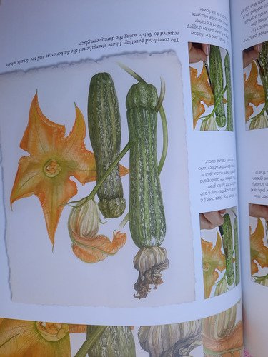 Libro Acuarela Billy Showell Fruit Y Vegetable Portraits