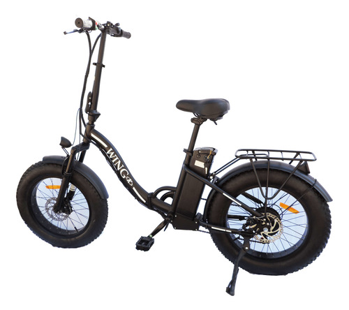Bicicleta Electrica Asistida R20 350w 