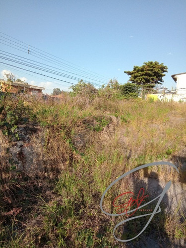 Imagem 8 de 9 de Terreno No Bairro Presidente Altino De 400m², Excelente Localização Próximo A Mercado, Padaria, Farmácia Sacolão Hospital Acesso Fácil As Marginais - Te00035 - 69881096
