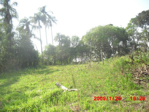Imagem 5 de 13 de Terreno Próximo A Cidade