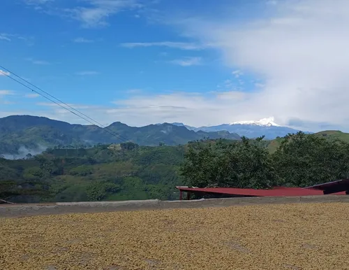 Venta De Finca Cafetera En Fresno Tolima