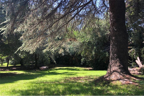 Imagen 5 de 11 de Vende Terreno En Lo Curro Con Casa Para Remodelar